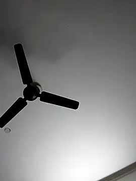 cutiecatty21 online show from 11/04/25, 10:58