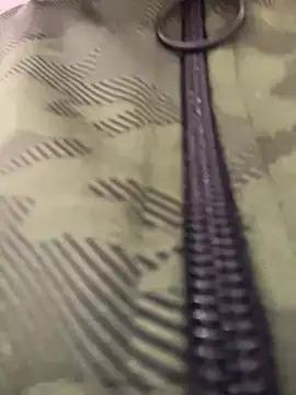 Snapshot of adahara19 chatting on 12/17/24, 01:29 adahara19 online show from 12/17/24, 01:29