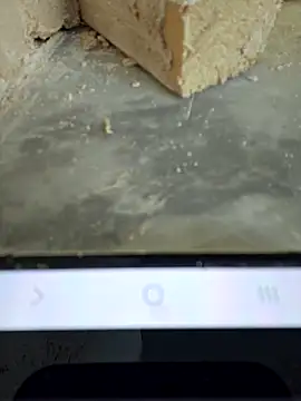 seloloko20 online show from 12/01/25, 08:08