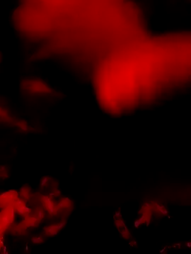 DaniSexFlow online show from 03/31/26, 08:04