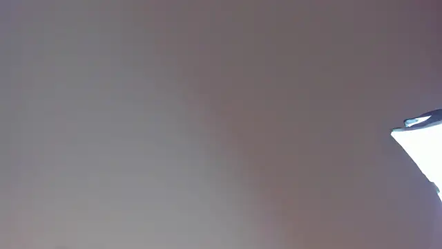 Laurent Williams online show from 12/28/24, 10:02