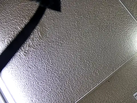 yajahil online show from 11/28/25, 07:38