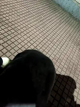 Snapshot of SurjS9 chatting on 09/20/25, 03:35 SurjS9 online show from 09/20/25, 03:35