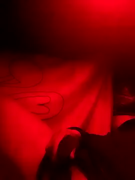 Snapshot of rayhot69 chatting on 12/23/24, 03:50 rayhot69 online show from 12/23/24, 03:50