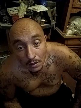 Snapshot of wilsons12 chatting on 11/08/25, 05:18 wilsons12 online show from 11/08/25, 05:18