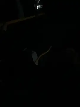 FROL83 online show from 04/10/26, 08:35