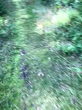 Zbochunec online show from 09/13/25, 11:43