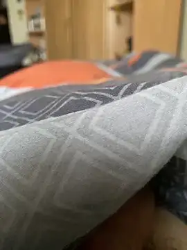 Snapshot of Gartengolem chatting on 12/24/24, 09:28 Gartengolem online show from 12/24/24, 09:28