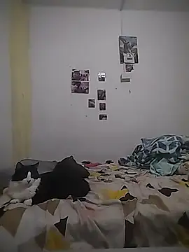 Snapshot of safira_hot chatting on 02/16/26, 12:40 safira hot online show from 02/16/26, 12:40