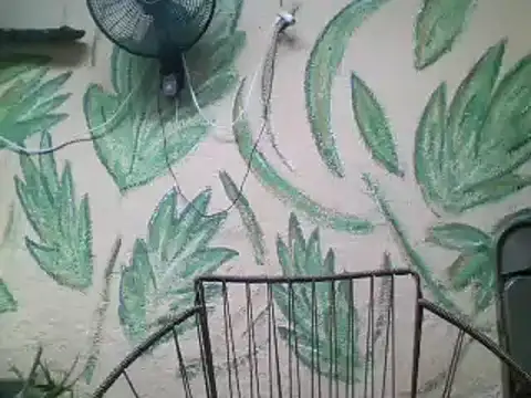 friendsloversex online show from 03/21/25, 05:02