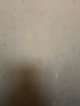 Snapshot of loveme99004 chatting on 02/16/26, 02:29 loveme99004 online show from 02/16/26, 02:29