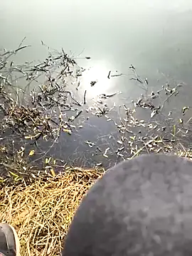 huzi518 online show from 03/08/25, 06:10