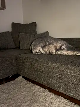 godspot  online show from 10/30/25, 08:20