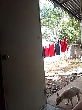 Andresguz35 online show from 02/08/26, 08:23