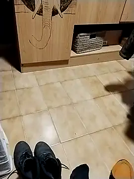 Snapshot of minitranca chatting on 10/28/25, 08:22 minitranca online show from 10/28/25, 08:22