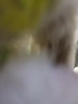 strip 1212 online show from 01/06/26, 11:07