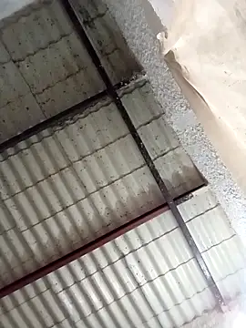 strip 1212 online show from 02/05/26, 06:01