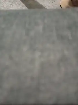 strip 1212 online show from 03/26/26, 06:08