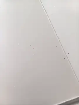 bbferlinaa online show from 03/21/26, 07:50