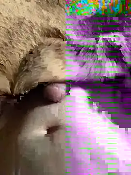 Snapshot of sansato133 chatting on 01/19/25, 09:44 sansato133 online show from 01/19/25, 09:44