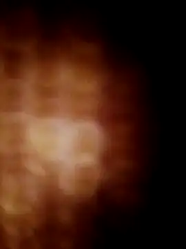 lavancaafiada online show from 04/24/26, 04:15