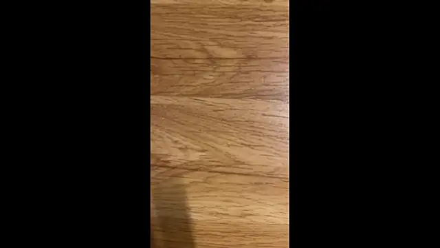 Hungry  Puppy online show from 04/08/26, 10:10