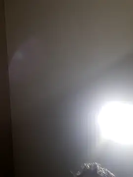 Colorao4 online show from 11/25/25, 07:47