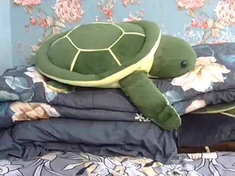 Snapshot of Tiny_lusty chatting on 03/11/25, 06:41 Tiny lusty online show from 03/11/25, 06:41