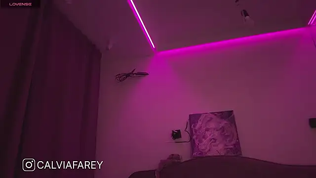 Snapshot of calviafarey chatting on 02/13/25, 03:07 calviafarey online show from 02/13/25, 03:07