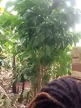 Black juicy24 online show from 01/26/25, 12:01