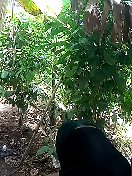 Black juicy24 online show from 02/06/25, 07:13