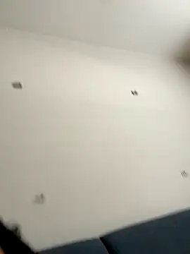 calibabi online show from 11/19/25, 06:30