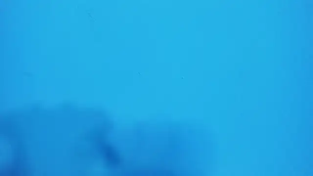 Snapshot of _hairybeard_ chatting on 02/20/25, 09:22 hairybeard online show from 02/20/25, 09:22