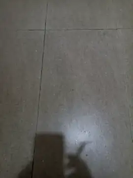 wildfox566 online show from 01/18/26, 03:10