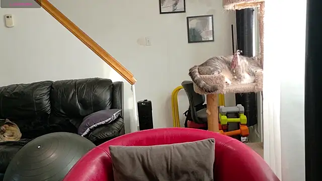 Thekodyy online show from 09/17/25, 12:40