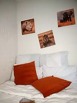 Shria107 online show from 01/08/26, 11:45