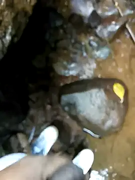 dpkpaksudda online show from 09/24/25, 07:12