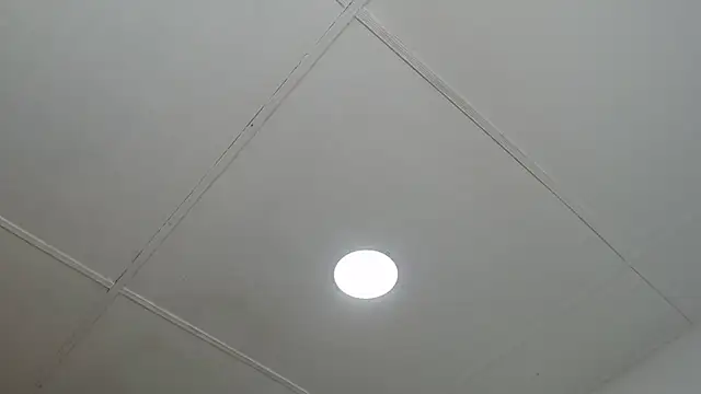 dannaberlin 0 online show from 03/13/25, 12:46