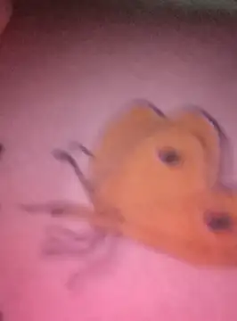 Snapshot of Nadia-2 chatting on 01/24/25, 12:20 Nadia-2 online show from 01/24/25, 12:20