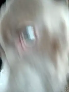 Snapshot of hoesinthishouse78 chatting on 11/22/25, 08:52 hoesinthishouse78 online show from 11/22/25, 08:52