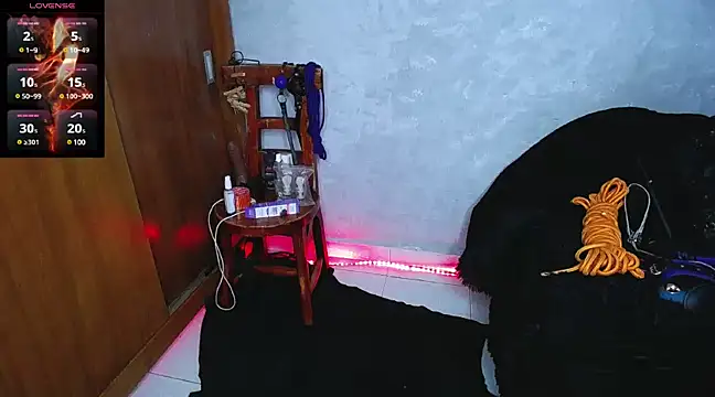 Snapshot of mysteery_katty_ chatting on 12/16/24, 09:31 mysteery katty online show from 12/16/24, 09:31