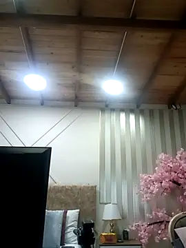 Snapshot of ashley__foxx_ chatting on 01/13/26, 01:27 ashley foxx online show from 01/13/26, 01:27