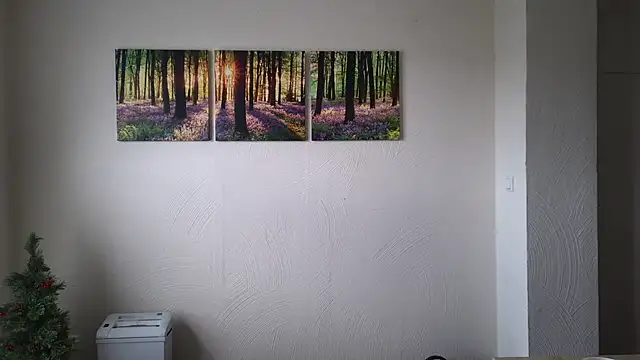 Harry Boldt online show from 12/30/24, 10:10