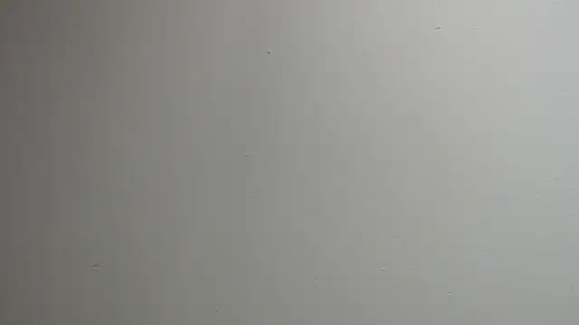 sussy leon online show from 03/13/25, 12:35