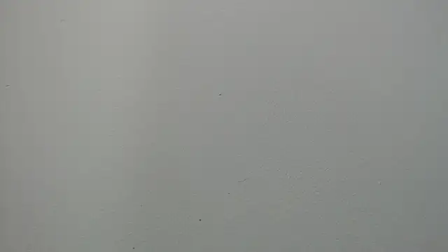 sussy leon online show from 03/14/25, 01:02