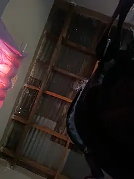 dojw online show from 09/29/25, 03:28