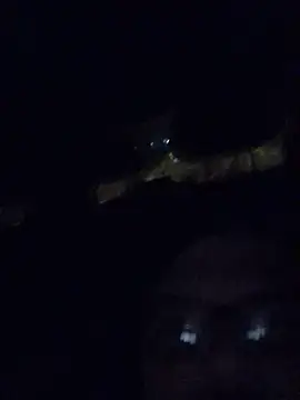 Snapshot of Watson4U chatting on 12/13/24, 06:27 Watson4U online show from 12/13/24, 06:27