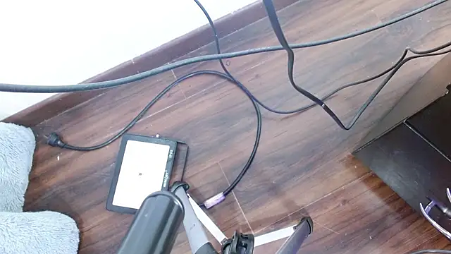 Aurora blossom   online show from 12/24/24, 12:22