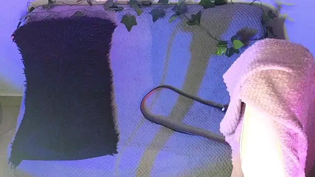 Alahia7demon online show from 02/09/26, 02:04