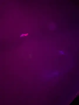 Alahia7demon online show from 03/22/26, 10:18